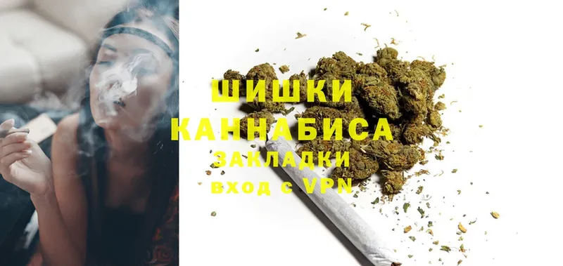 где продают наркотики  мориарти телеграм  Шишки марихуана White Widow  Балашов 